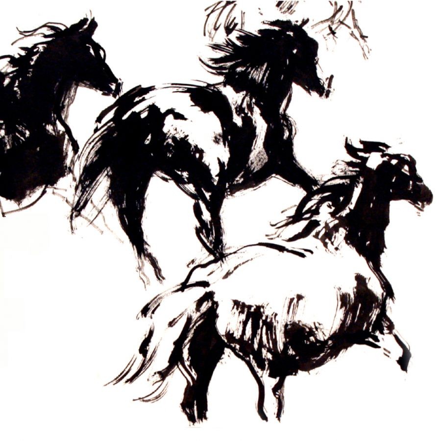 Lemańczyk - konie
